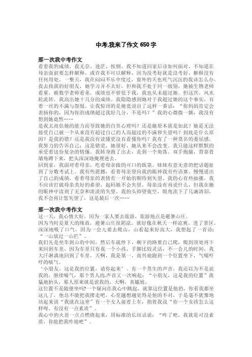 中考,我来了作文650字