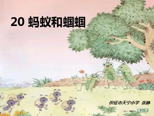 《蚂蚁和蝈蝈》PPT课件