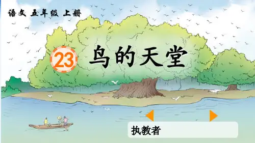 统编版五年级语文上册23鸟的天堂课件(共26张PPT)