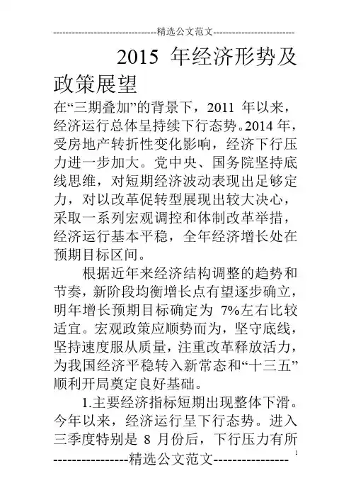 15年经济形势及政策展望