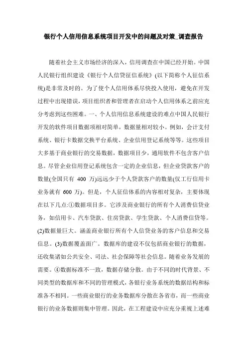 银行个人信用信息系统项目开发中的问题及对策_调查报告.doc