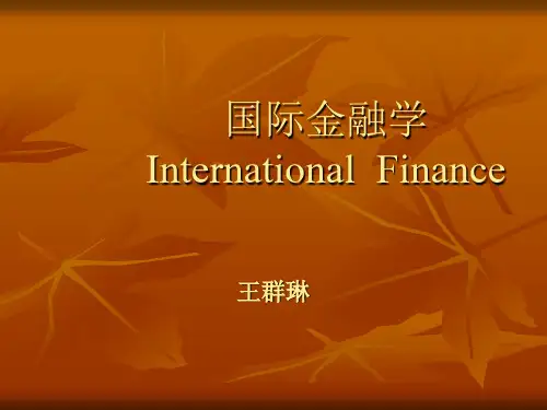 国际金融学教案(王群琳)2