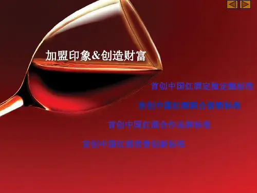 某酒业招商策划课件