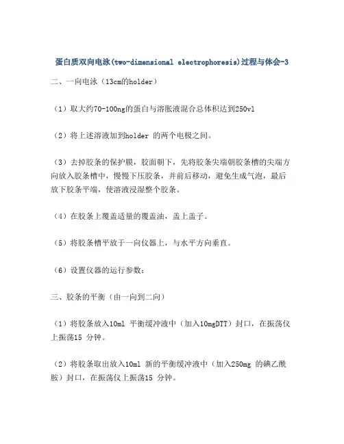 蛋白质双向电泳(two-dimensional electrophoresis)过程与体会-3
