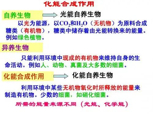 影响光合作用的因素