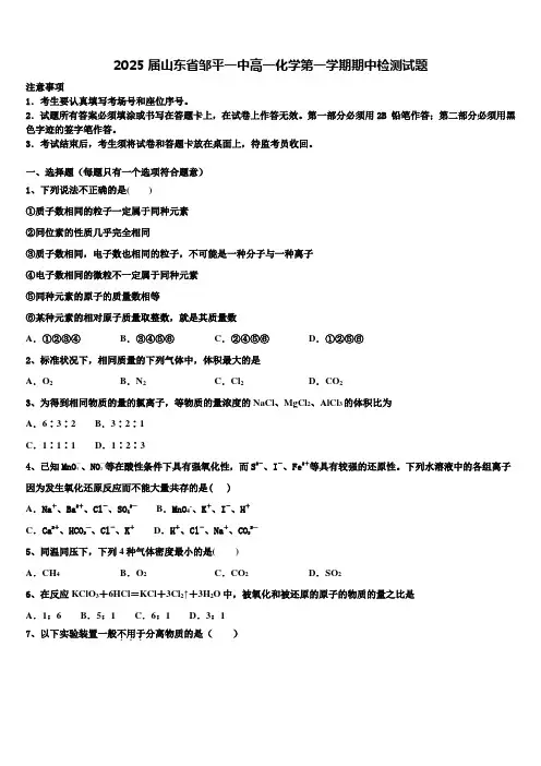 2025届山东省邹平一中高一化学第一学期期中检测试题含解析
