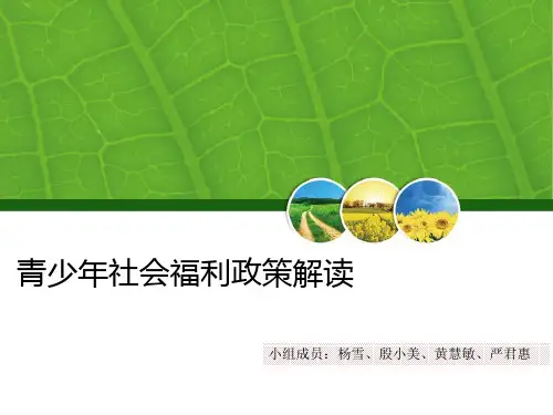 青少年社会福利政策解读