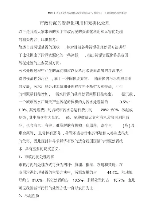 市政污泥的资源化利用和无害化处理