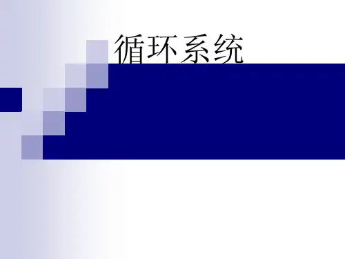 影像诊断学：循环系统
