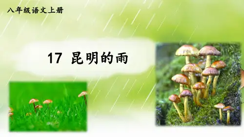 17昆明的雨