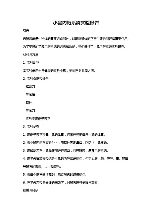 小鼠内脏系统实验报告