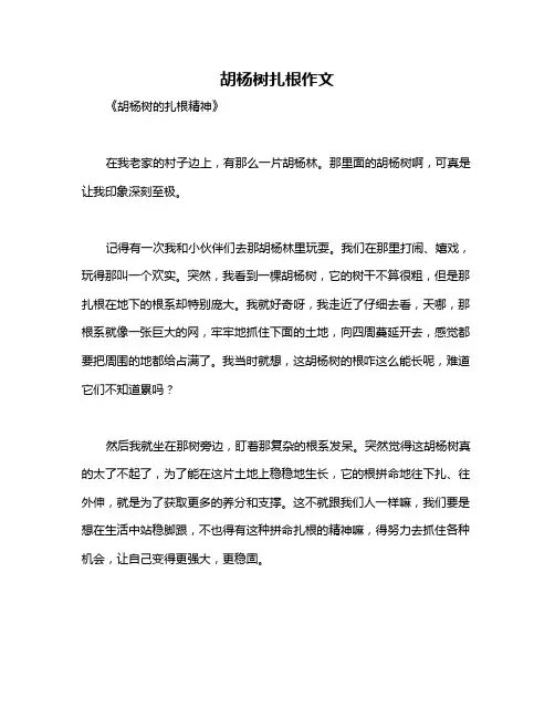 胡杨树扎根作文