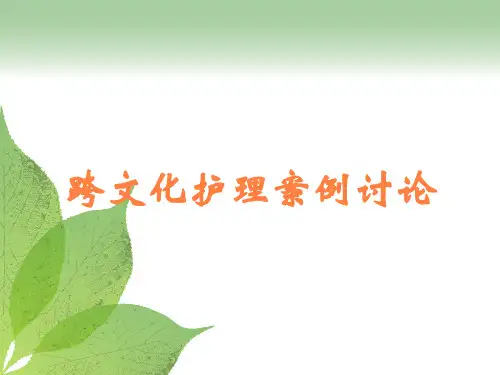 跨文化护理案例讨论