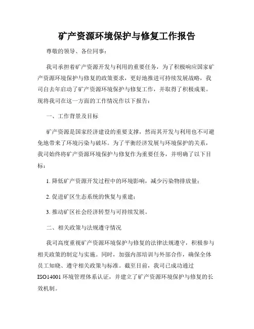 矿产资源环境保护与修复工作报告