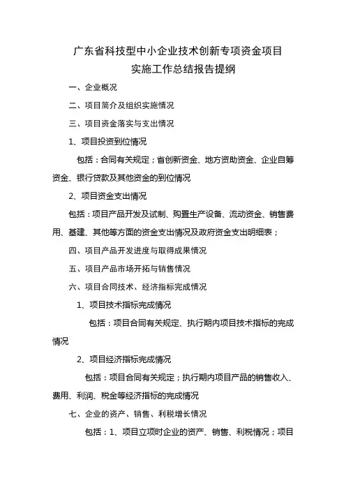 创新基金项目工作总结报告提纲