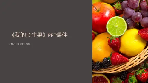 《我的长生果》课件