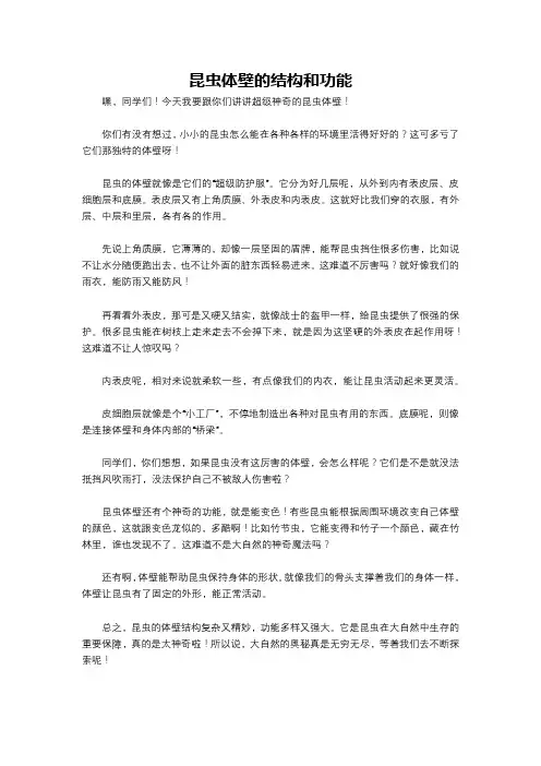 昆虫体壁的结构和功能