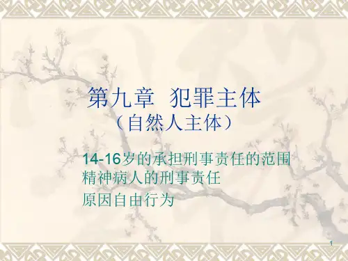刑法犯罪主体(自然人主体)ppt课件