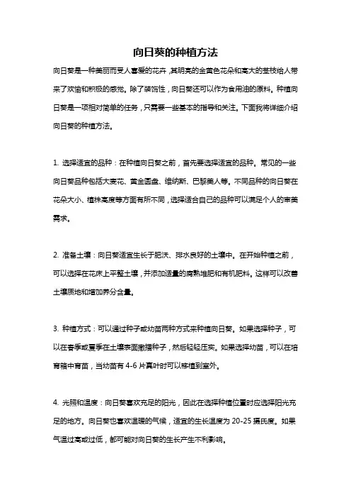 向日葵的种植方法