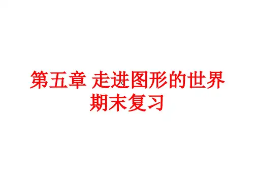苏教版第五章走进图形世界复习课件
