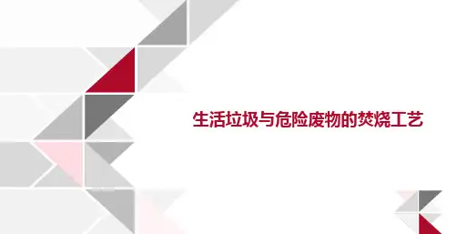 垃圾焚烧及烟气净化工艺