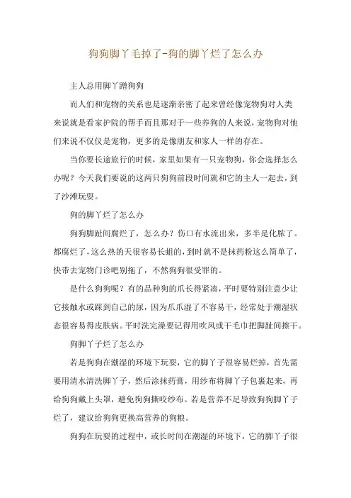 狗狗脚丫毛掉了-狗的脚丫烂了怎么办