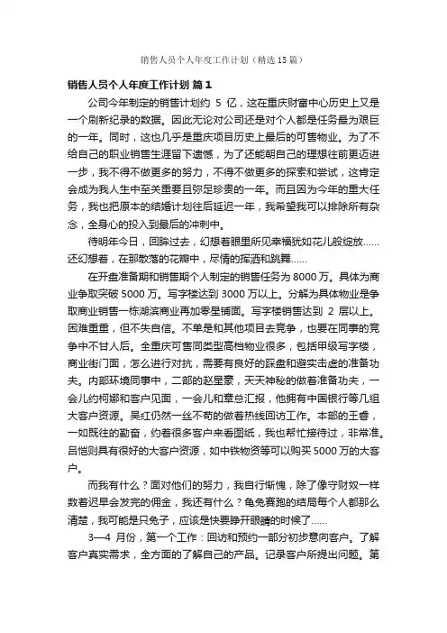 销售人员个人年度工作计划（精选15篇）