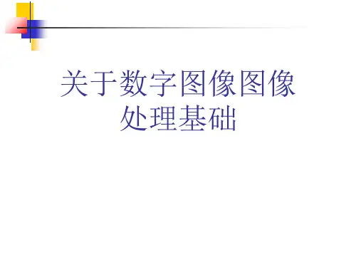 关于数字图像图像处理基础课件