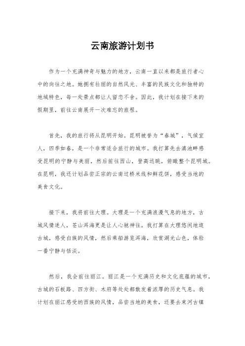 云南旅游计划书