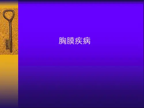 胸腔积液、气讲义教材
