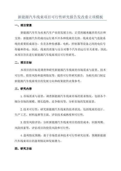 新能源汽车线束项目可行性研究报告发改委立项模板