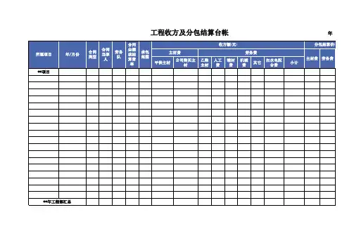 项目工程收支台帐