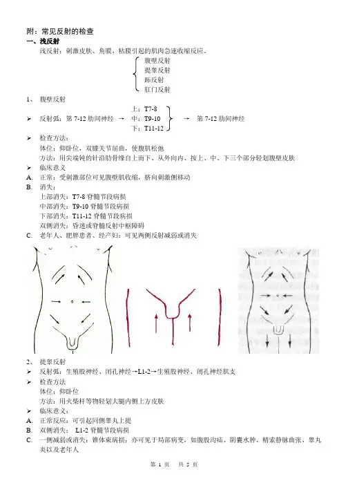 附：常见反射的检查