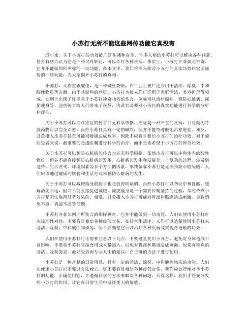 小苏打无所不能这些网传功能它真没有
