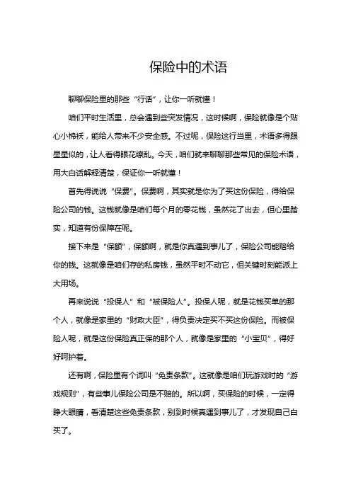 保险中的术语