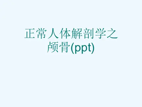 正常人体解剖学之颅骨(ppt)