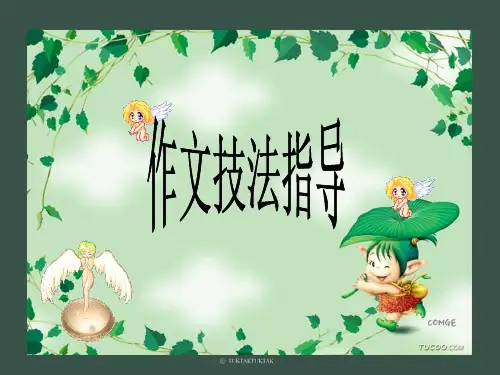常用的几种描写方法精品PPT课件