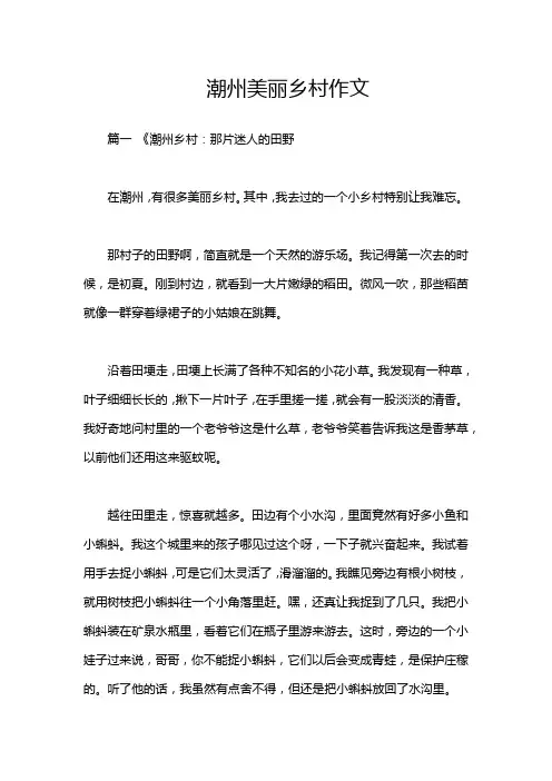 潮州美丽乡村作文