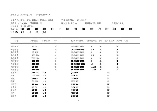 管道等级表(L1B)样例