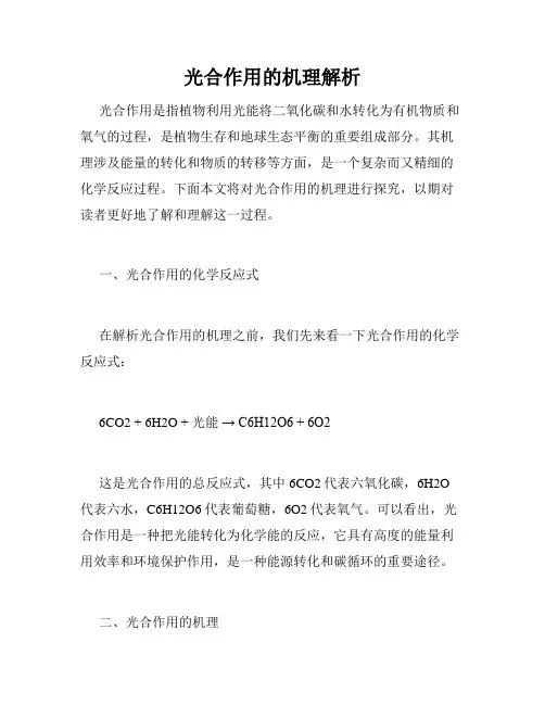 光合作用的机理解析