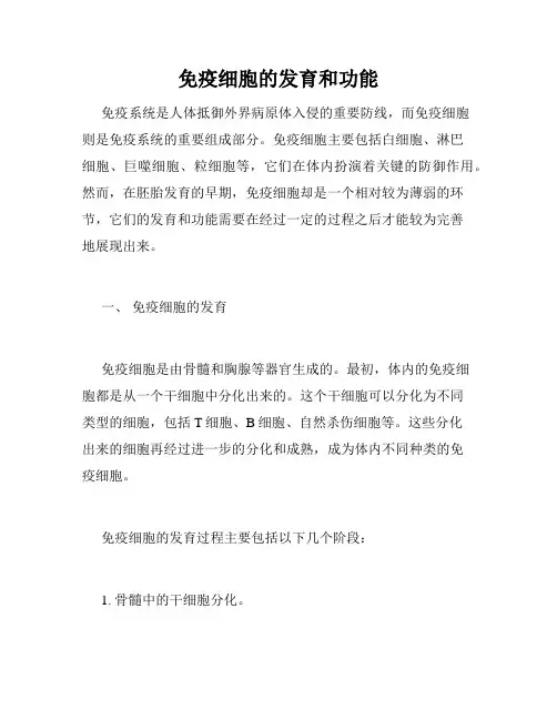 免疫细胞的发育和功能