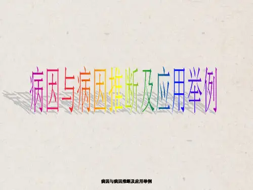病因和病因推断及应用举例