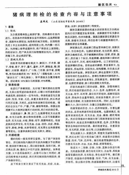 猪病理剖检的检查内容与注意事项