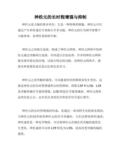 神经元的长时程增强与抑制