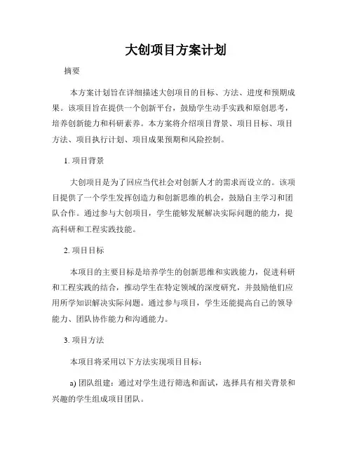大创项目方案计划