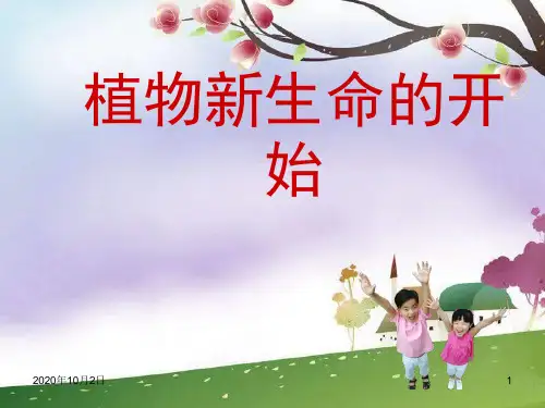 寻找有生命的物体PPT-苏教版科学三上PPT课件