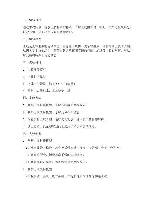 观察上肢的实验报告