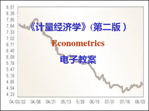 计量经济管理学与财务知识分析教案