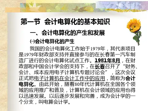 会计电算化课件第一章会计电算化概述