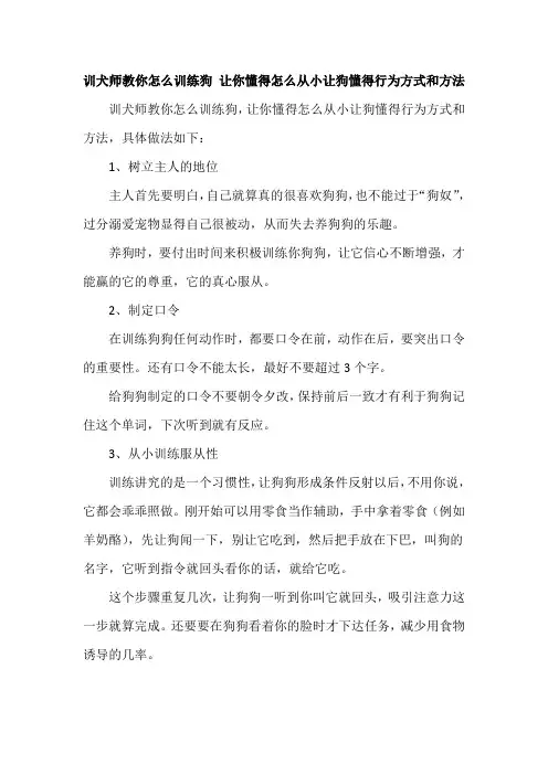 训犬师教你怎么训练狗 让你懂得怎么从小让狗懂得行为方式和方法